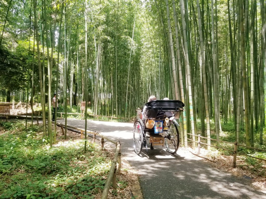 เที่ยวป่าไผ่เกียวโตด้วยตัวเอง