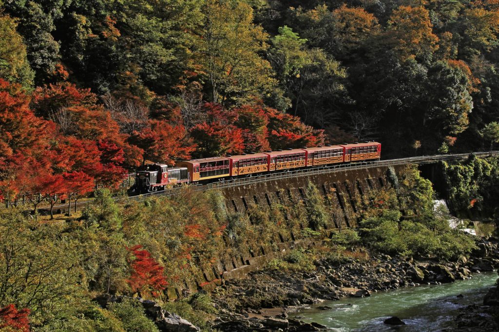 Sagano Train Autumn