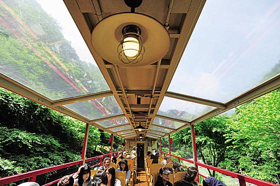 Sagano Train Guide