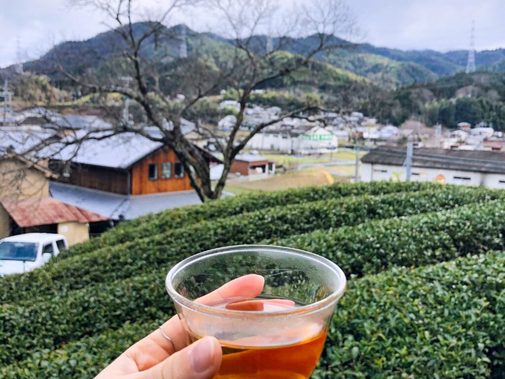 Wazuka Town: Green Tea Heaven in Kyoto