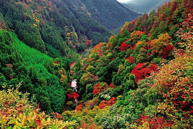 Kansai Outdoors Kin-un-kei Gorge