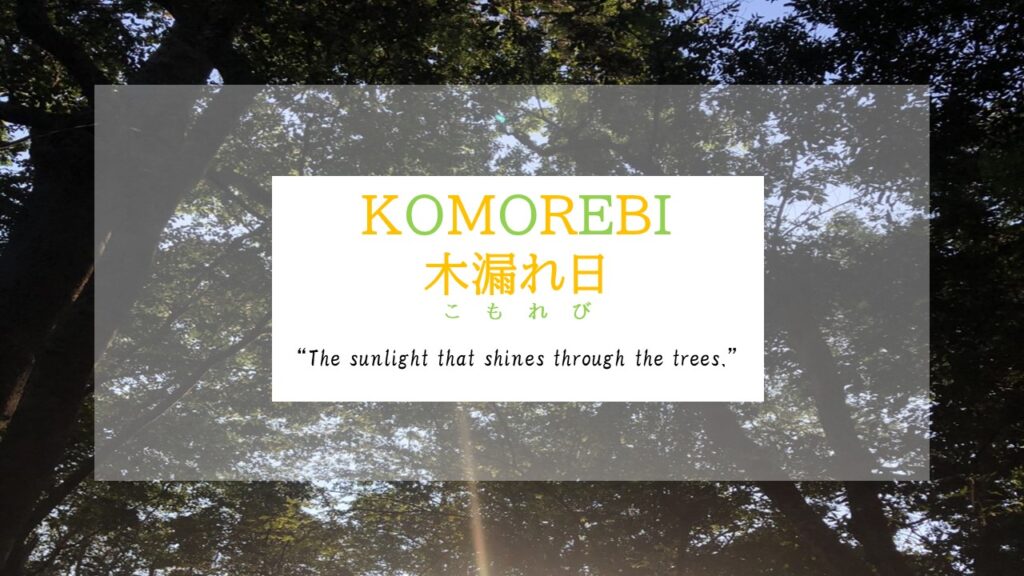 Interesting Japanese Words: Komorebi