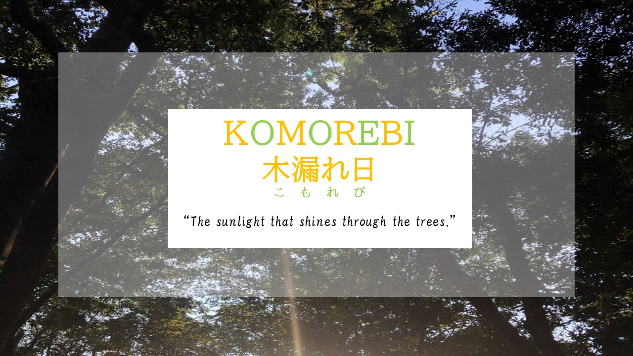 interesting-japanese-words-komorebi-kansai-chan