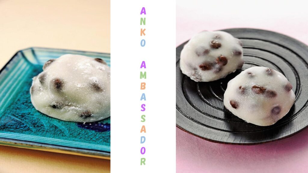 Anko Ambassador: Interviewing The Japanese Red Bean Paste Ambassador