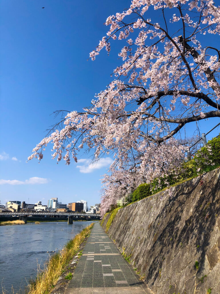 Kamogawa Spring