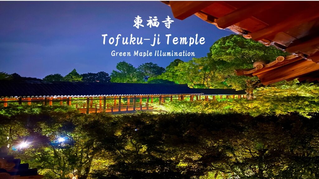 京都東福寺：青楓燈飾(含影片)