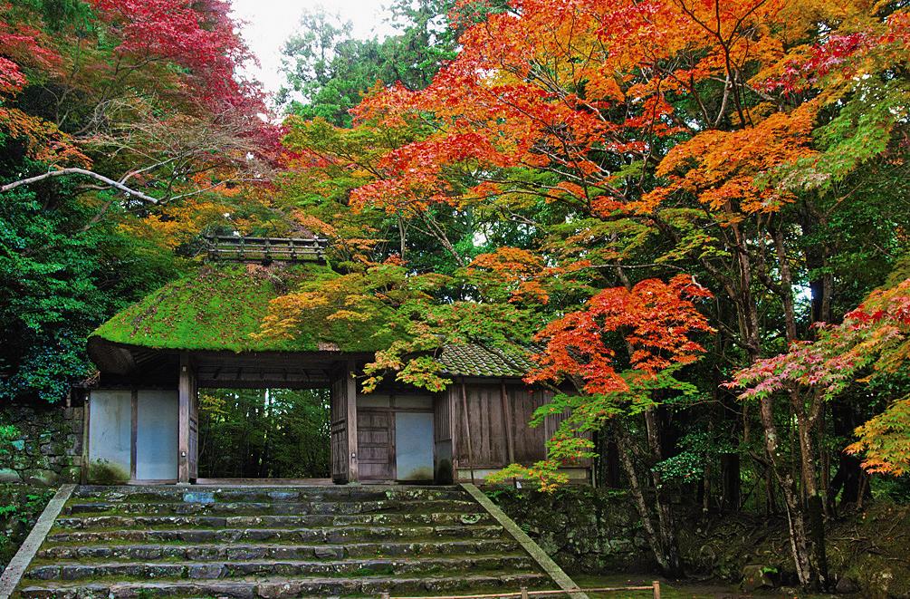 Anraku-ji Temple Kyoto Autumn