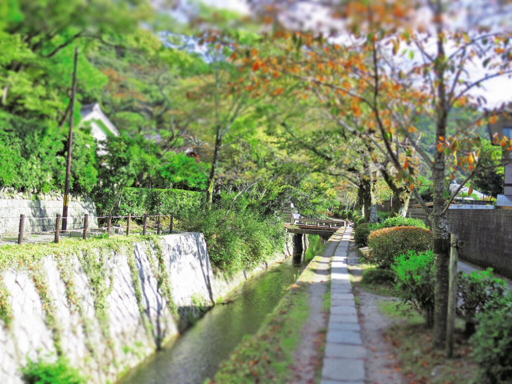 Philosopher's Path Autumn in Kyoto