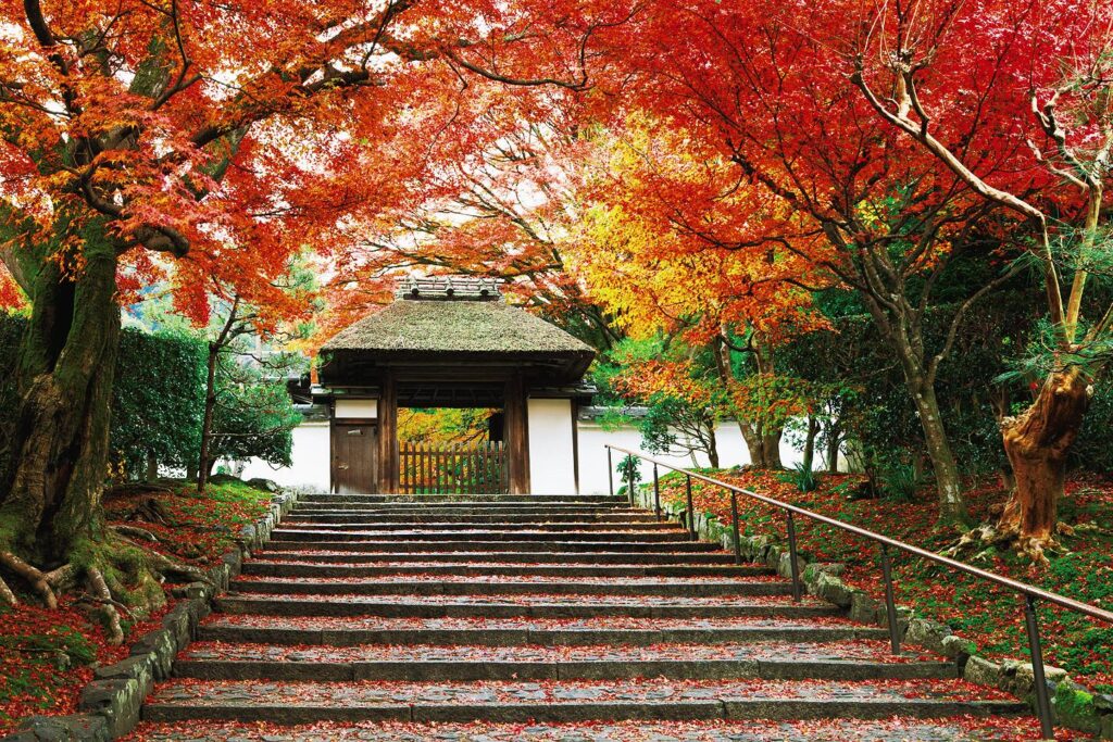 Anraku-ji Temple Kyoto Autumn