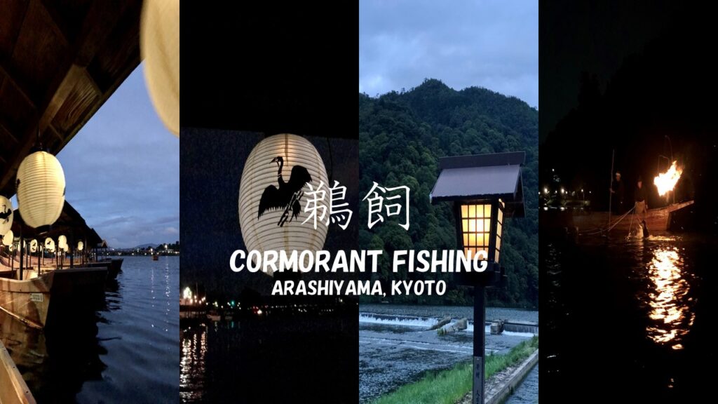 京都嵐山的鸕鶿垂釣「鵜飼」（含影片）