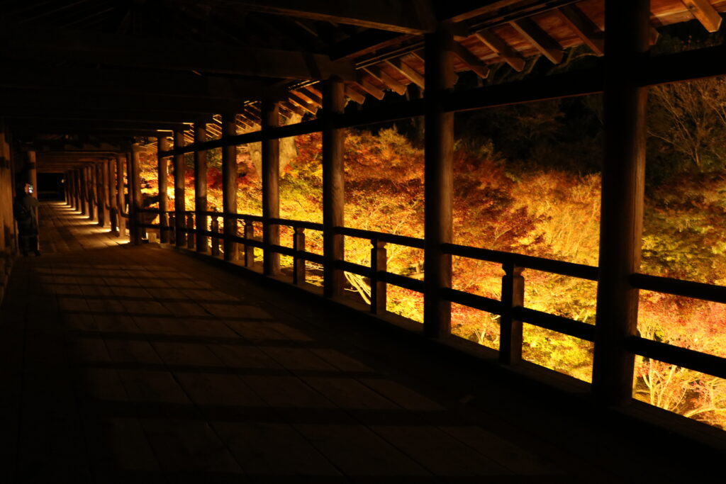 Autumn Illumination Tofukuji
