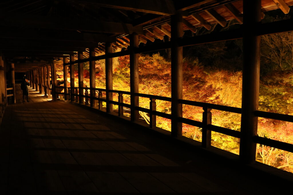 Tofukuji Kyoto Illumination
