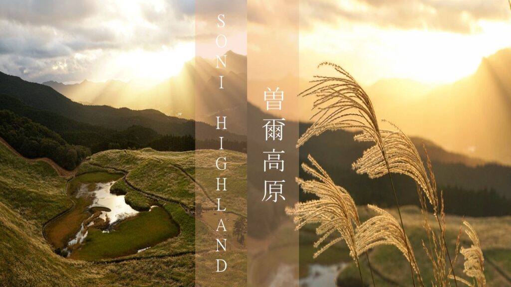 奈良曾尔高原:秋天限定的黄金芒草草原和令人难忘的景色