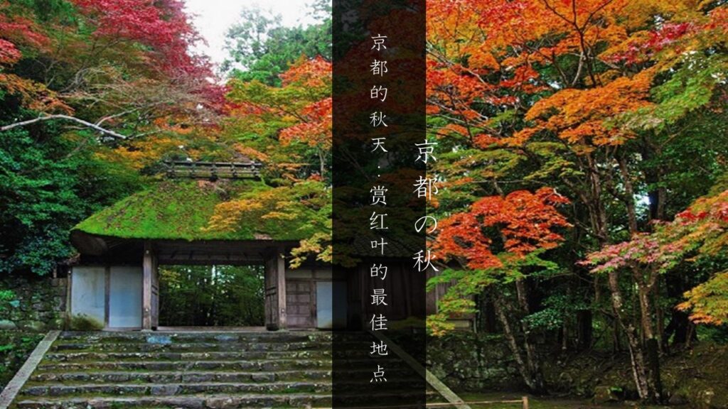 京都的秋天：赏红叶的最佳地点
