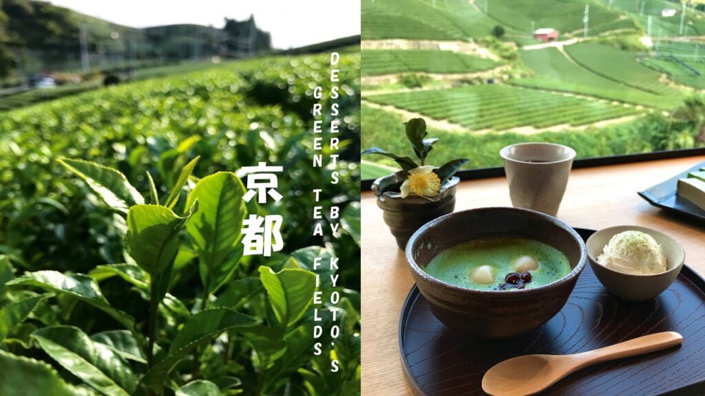 Green Tea Desserts Right Beside Kyoto’s Tea Fields