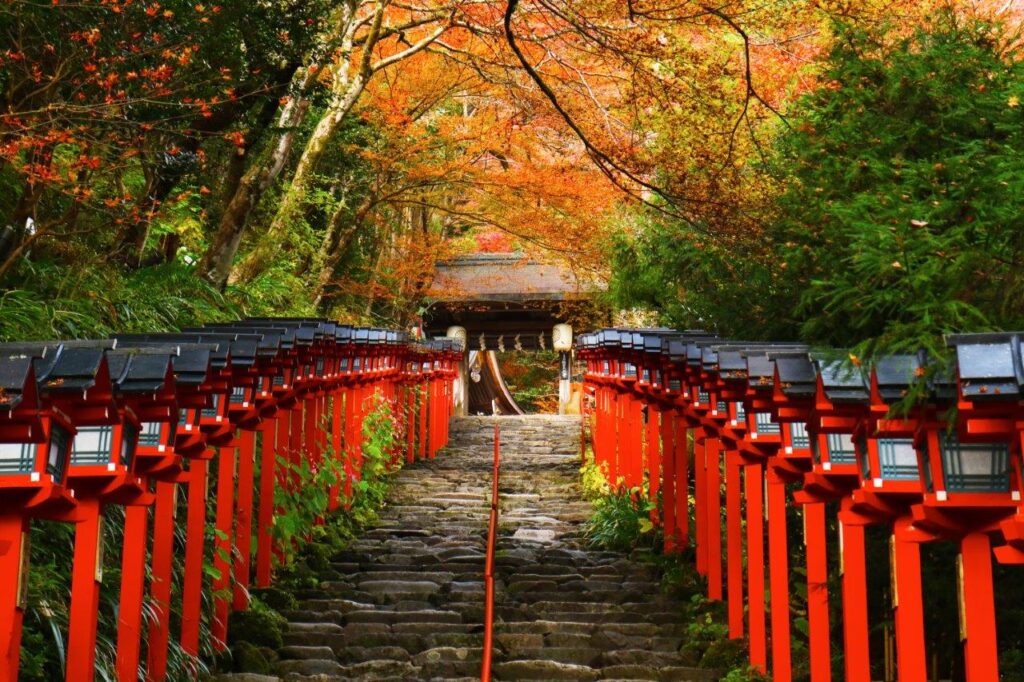 Maple Tree Tunnel: View the Spectacular Autumn Foliage from the Train ...