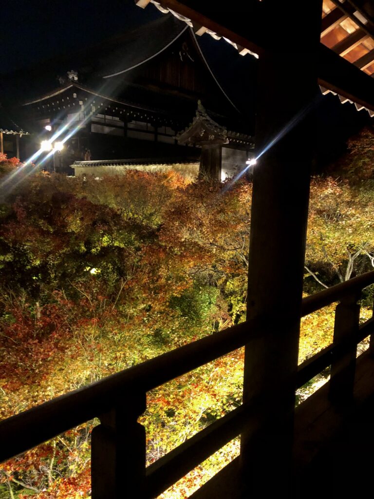 Tofukuji Autumn Illumination
