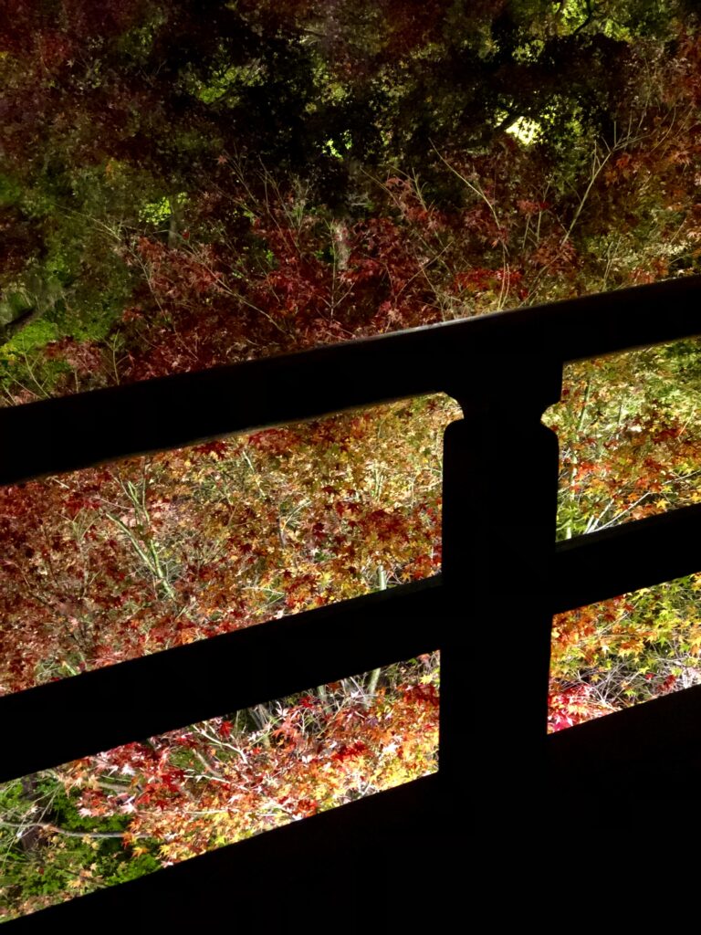 Tofukuji Autumn Illumination