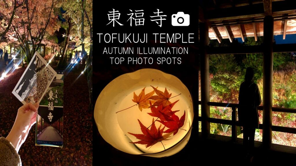 Autumn Illumination: The 5 Best Photo Spots at Tofukuji Temple (With Video)
