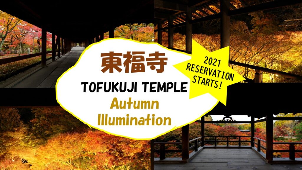 Tofukuji Temple Kyoto Autumn Illumination: 2021 Reservation & Tickets