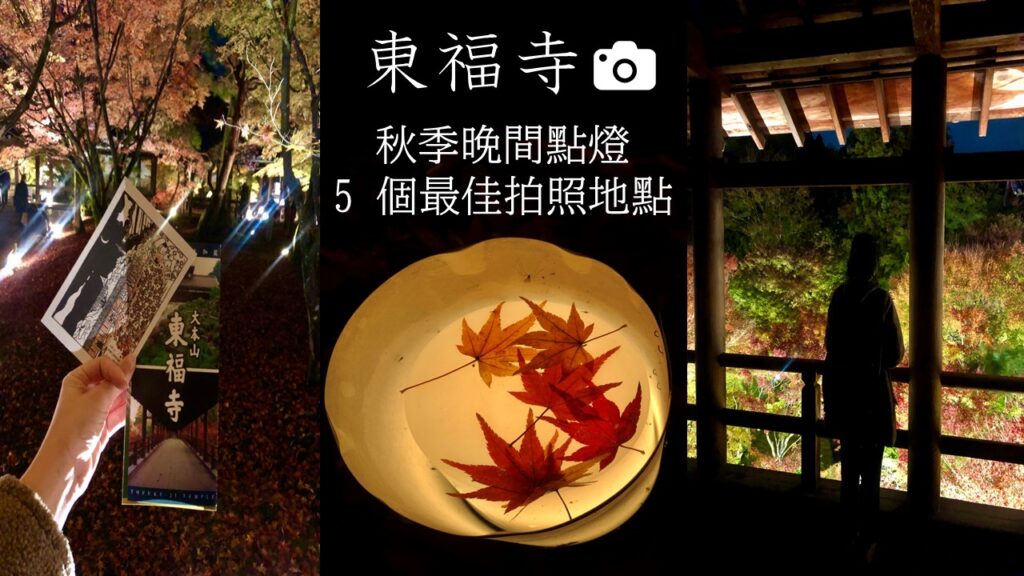 秋季晚間點燈：東福寺 5 個最佳拍照地點（附影片）
