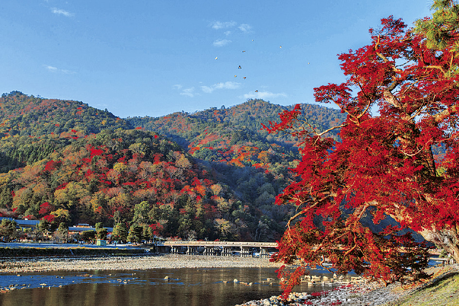 Togetsukyo Bridge Autumn