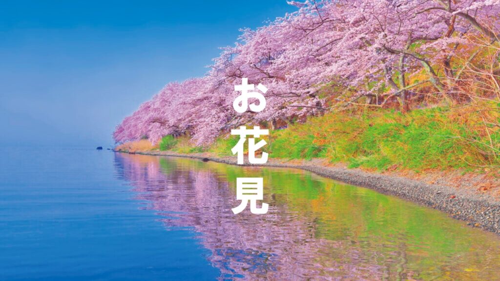 Cherry Blossom 2022 (Top 5 Spots in Kansai-Wakayama, Kyoto, Nara, Shiga)