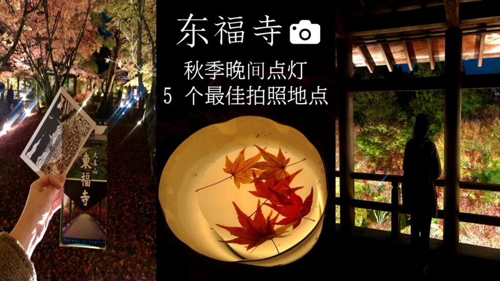 秋季晚间点灯：东福寺 5 个最佳拍照地点（附影片）