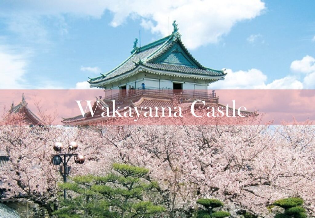Wakayama Castle: Escape the Crowd and Relax in the Peaceful Town
